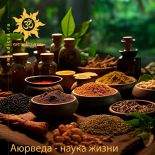 Аюрведа - наука жизни Аюрведа - наука жизни