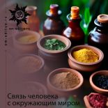 Связь человека с окружающим миром